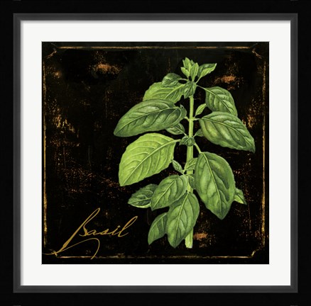 Framed Black Gold Herbs IV Print