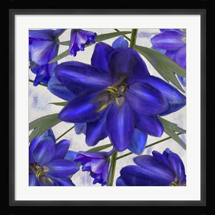 Framed Delphine I Print