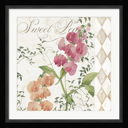 Framed Sweet Pea Print