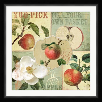 Framed Apple Blossoms II Print