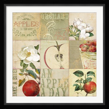 Framed Apple Blossoms III Print