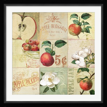 Framed Apple Blossoms IV Print