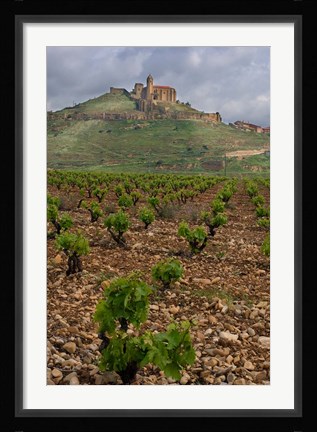 Framed Vineyard in stony soil with San Vicente de la Sonsierra Village, La Rioja, Spain Print