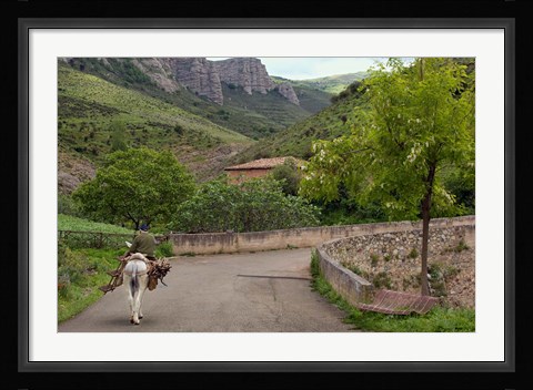 Framed Old man rides a donkey loaded with wood, Anguiano, La Rioja, Spain Print