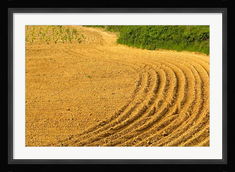 Framed Tilled Ground Ready for Planting, Brinas, La Rioja, Spain Print