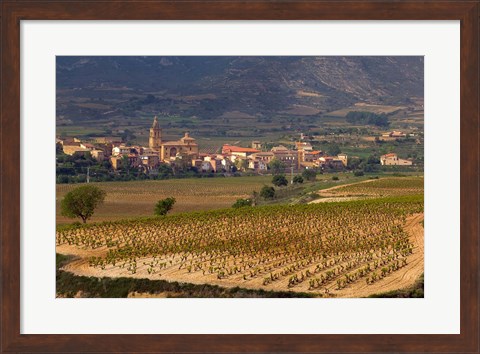 Framed Village of Brinas surrounded by Vineyards, La Rioja Region, Spain Print