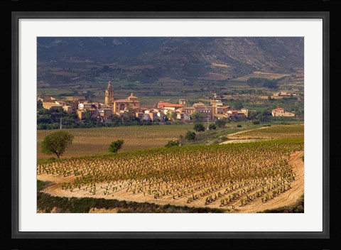 Framed Village of Brinas surrounded by Vineyards, La Rioja Region, Spain Print