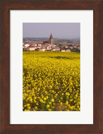 Framed Yellow mustard flowers, Elvillar Village, La Rioja, Spain Print