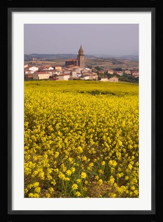 Framed Yellow mustard flowers, Elvillar Village, La Rioja, Spain Print