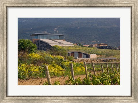 Framed Bodegas Baigorri in Rioja Alavesa, Spain Print