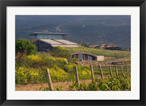 Framed Bodegas Baigorri in Rioja Alavesa, Spain Print