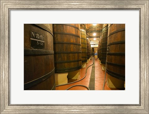 Framed Large Oak tanks holding wine, Bodega Muga Winery, Haro village, La Rioja, Spain Print