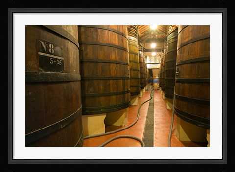 Framed Large Oak tanks holding wine, Bodega Muga Winery, Haro village, La Rioja, Spain Print