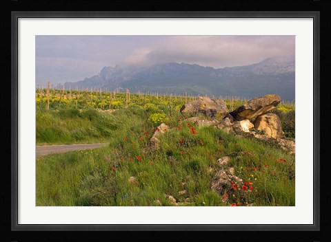 Framed Wildflowers surround the Sacred Burial Site, Elvillar Village, La Rioja, Spain Print