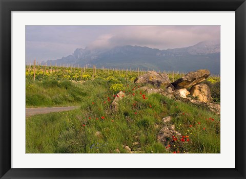 Framed Wildflowers surround the Sacred Burial Site, Elvillar Village, La Rioja, Spain Print