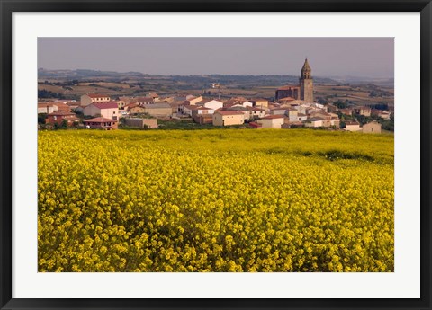 Framed Yellow mustard flowers, Elvillar Village, La Rioja, Spain Print