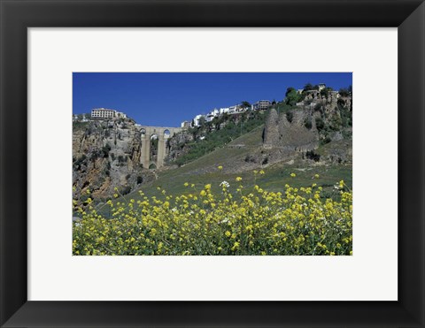 Framed Wildflowers in El Tajo Gorge and Punte Nuevo, Ronda, Spain Print