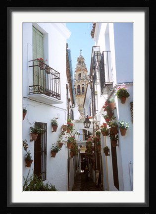 Framed Calleja de las Flores (Flower Alley), Spain Print