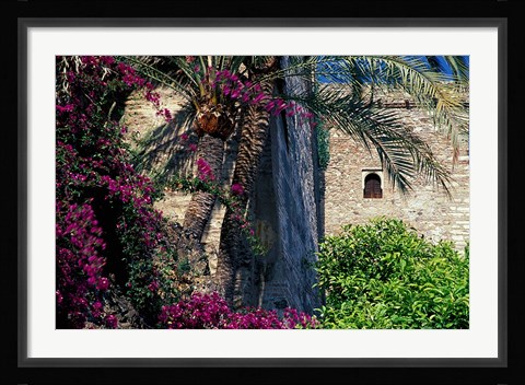 Framed Plams, Flowers and Ramparts of Alcazaba, Malaga, Spain Print