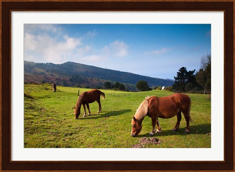 Framed Horses By Jaizkibel Road, Hondarribia, Spain Print