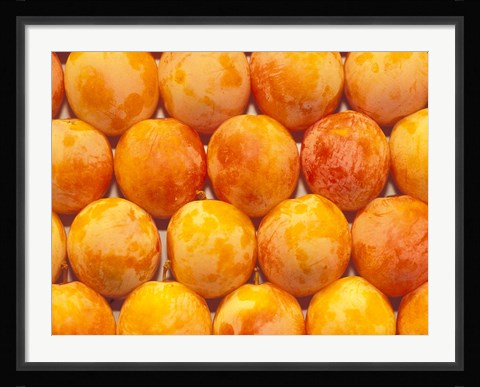 Framed Produce at La Boqueria Market, Barcelona, Spain Print