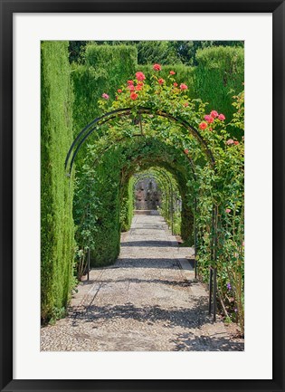 Framed Archway of trees in the gardens of the Alhambra, Granada, Spain Print
