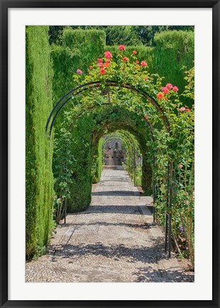 Framed Archway of trees in the gardens of the Alhambra, Granada, Spain Print