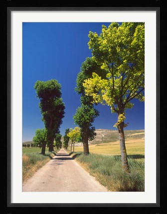 Framed Pilgrimage Road, El Camino de Santiago de Compostela, Castile, Spain Print