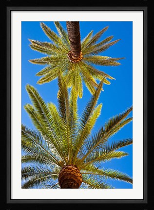 Framed Palacio de la Condesa de Lebrija Courtyard, Seville, Spain Print