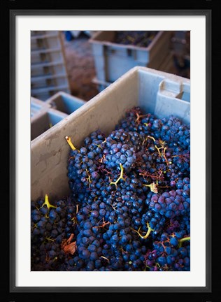 Framed Bodega Marques de Riscal Winery, Elciego, Basque Country, Spain Print
