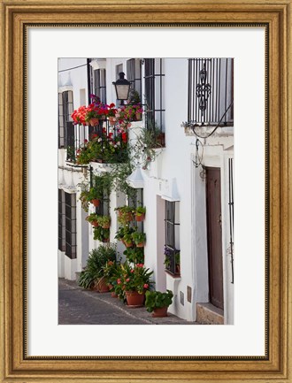 Framed Spain, Andalucia Region, Cadiz, Grazalema Potted plants by a home Print