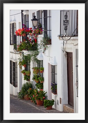 Framed Spain, Andalucia Region, Cadiz, Grazalema Potted plants by a home Print