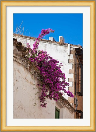 Framed Spain, Andalusia, Banos de la Encina Bougainvillea Growing on a Roof Print
