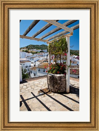 Framed Spain, Andalusia, Cadiz Province Potted plants Overlooking Rooftops Print