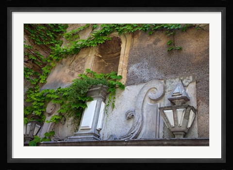 Framed Spain, Granada Ivy growing on the walls of the Alhambra Print