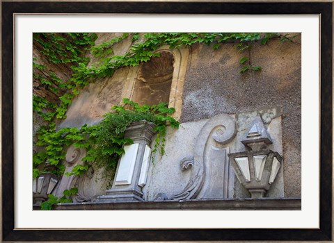 Framed Spain, Granada Ivy growing on the walls of the Alhambra Print
