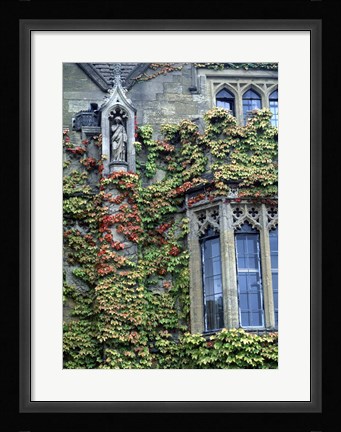 Framed Halls of Ivy, Oxford University, England Print