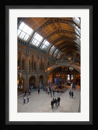 Framed England, London, Natural History Museum Great Hall Print