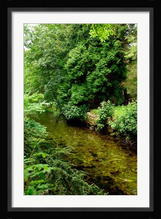 Framed England, Lake District, Cumbria, Flora Print