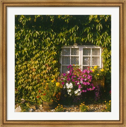 Framed Cottage, Devon, England Print