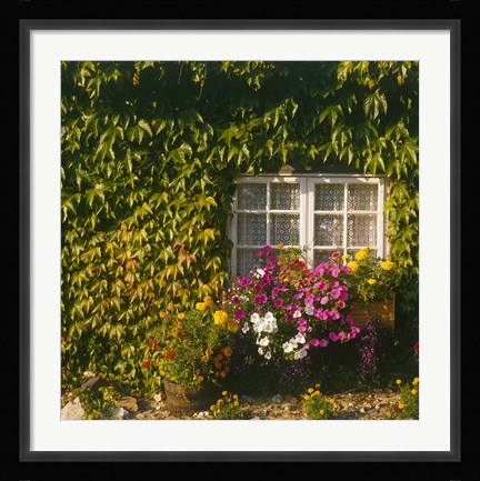 Framed Cottage, Devon, England Print