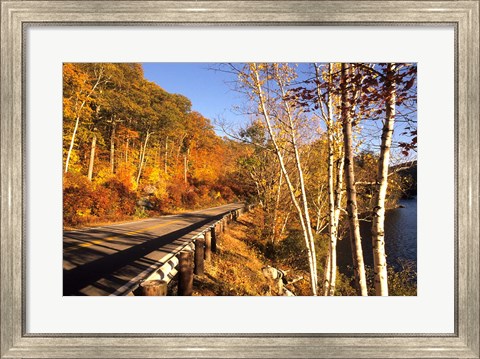 Framed Tranquil Road with Fall Colors in New England Print