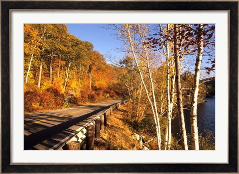 Framed Tranquil Road with Fall Colors in New England Print