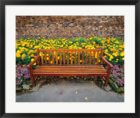 Framed England, Northumberland, Hexham, Park bench Print