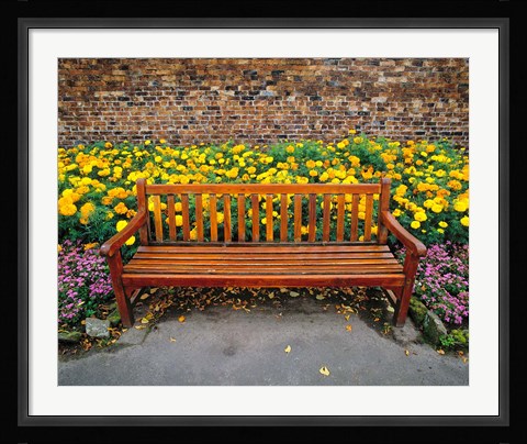 Framed England, Northumberland, Hexham, Park bench Print