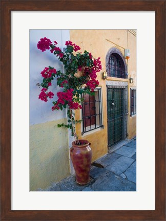 Framed Bougenvillia Vine in Pot, Oia, Santorini, Greece Print