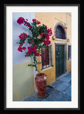 Framed Bougenvillia Vine in Pot, Oia, Santorini, Greece Print