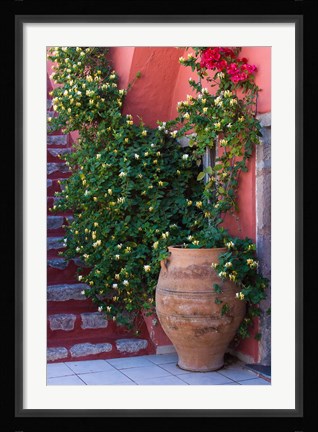 Framed Large Pot With Honeysuckle Vine, Santorini, Greece Print
