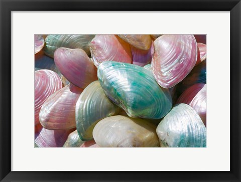 Framed Greece, Dodecanese, Rhodes, Harbor, Seashells Print