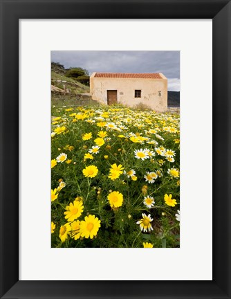 Framed Wildflowers and church of St, Island of Spinalonga, Crete, Greece Print